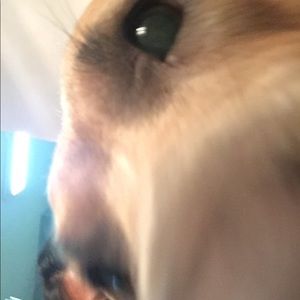 Meet your Posher, Cathy